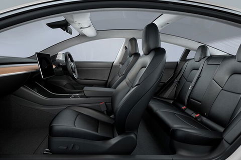 Adelaide Airport Departure Transfer In A Tesla Model3 EV - Maitland Accommodation 5