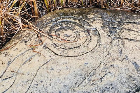 Adelaide Cultural Safari - Private Charters - Maitland Accommodation 2