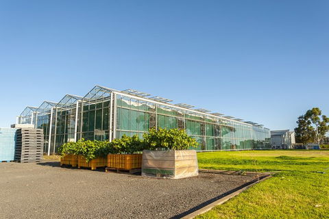 Yalumba Nursery & Grenache Discovery Tour + Platter Lunch - Maitland Accommodation 5