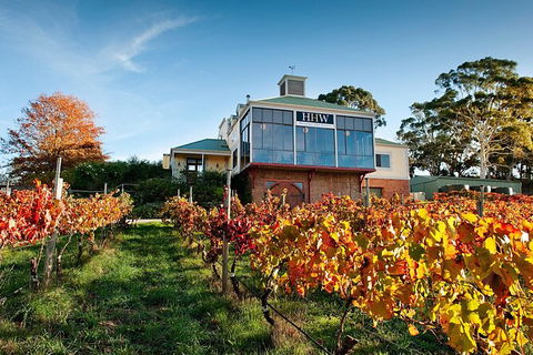 Adelaide Hills Food, Wine, Cheese, & Chocolate - Private Day Tour - Maitland Accommodation 7