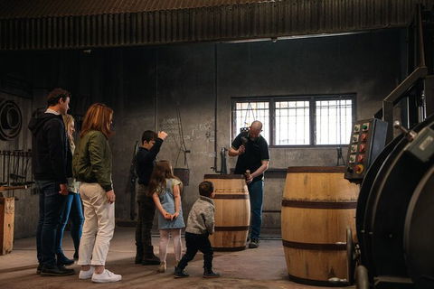 Yalumba Cooperage Tour - Maitland Accommodation 10