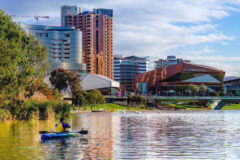 Adelaide City Kayak Tour - Maitland Accommodation 7