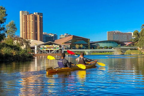 Adelaide City Kayak Tour - Maitland Accommodation 3