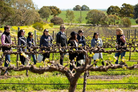 Walk, Taste, Graze - Experience At Pindarie - Maitland Accommodation 2
