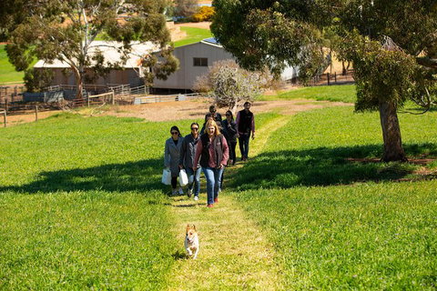 Walk, Taste, Graze - Experience At Pindarie - Maitland Accommodation 7