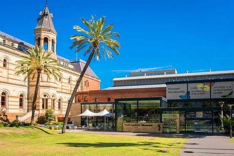 Departure Private Transfers: Adelaide To Adelaide Airport ADL In Business Car - Maitland Accommodation 6