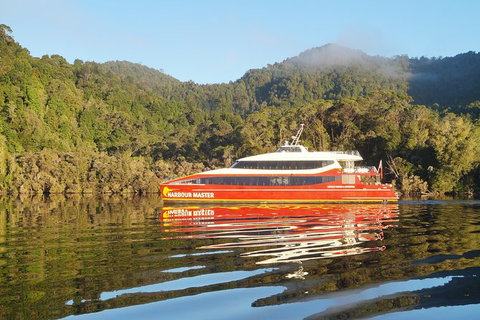 Afternoon Gordon River Dinner Cruise - Departing 3pm - Maitland Accommodation 1