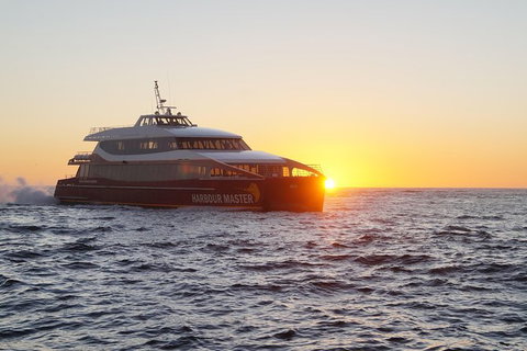 Afternoon Gordon River Dinner Cruise - Departing 3pm - Maitland Accommodation 0