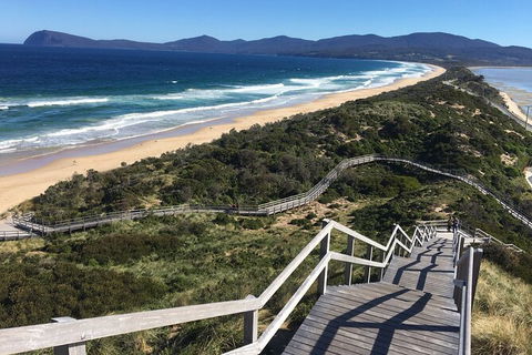 4-Day Fabulous Tasmania Tour: Wineglass Bay, Port Arthur, Devils & Bruny Island - Maitland Accommodation 3
