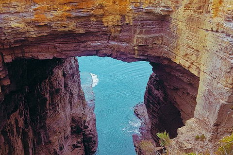 4-Day Fabulous Tasmania Tour: Wineglass Bay, Port Arthur, Devils & Bruny Island - Maitland Accommodation 6