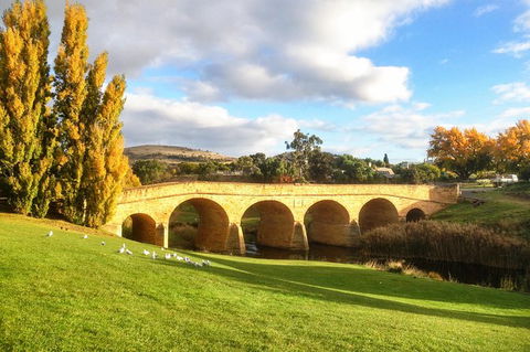 4-Day Fabulous Tasmania Tour: Wineglass Bay, Port Arthur, Devils & Bruny Island - Maitland Accommodation 7