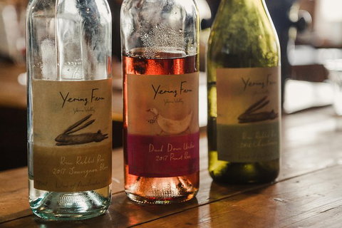 Yarra Valley Wine, Bubbles And Gin Tour! - Maitland Accommodation 0