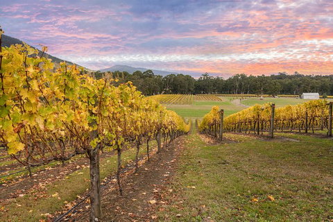 Yarra Valley Boutique Winery Tour From Melbourne - Maitland Accommodation 0
