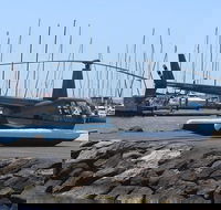 Geelong Helicopter Joy Flights - Maitland Accommodation