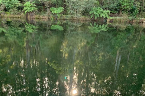 Hiking Tour To Aqueduct And Warburton Valley Lookout - Maitland Accommodation 2