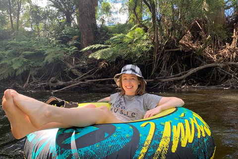 Watertube Experience In Yarra River - Maitland Accommodation 2