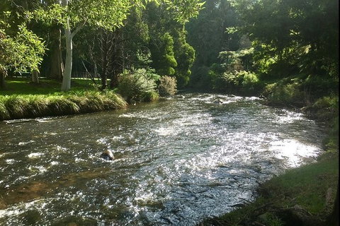 Watertube Experience In Yarra River - Maitland Accommodation 3
