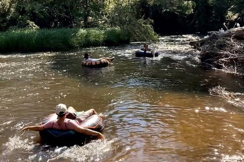 Watertube Experience In Yarra River - Maitland Accommodation 8