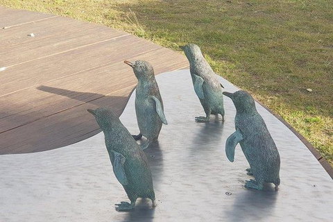 Phillip Island Penguin And Wildlife Tour - Maitland Accommodation 14