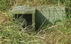 Phillip Island Penguin And Wildlife Tour - thumb 11