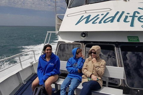 Phillip Island Penguin And Wildlife Tour - Maitland Accommodation 15