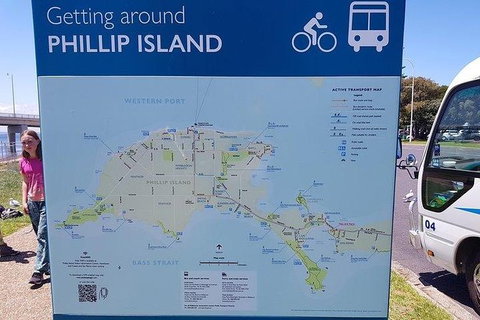 Phillip Island Penguin And Wildlife Tour - Maitland Accommodation 28