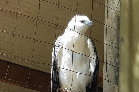 Phillip Island Penguin And Wildlife Tour - Maitland Accommodation 21