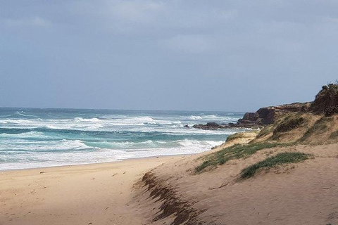 Phillip Island Penguin And Wildlife Tour - Maitland Accommodation 10