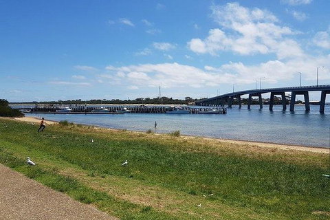 Phillip Island Penguin And Wildlife Tour - Maitland Accommodation 24