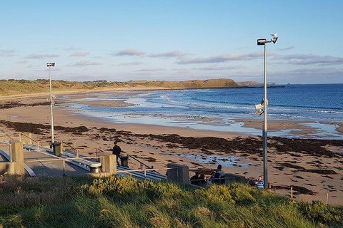 Phillip Island Penguin And Wildlife Tour - Maitland Accommodation 8
