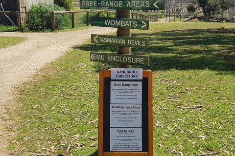 Phillip Island Penguin And Wildlife Tour - Maitland Accommodation 4