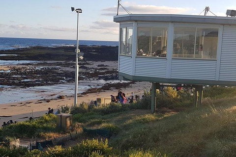Phillip Island Penguin And Wildlife Tour - Maitland Accommodation 33