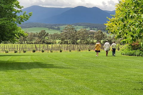 Yarra Valley Wine Tasting Day Tour From Melbourne - Maitland Accommodation 6