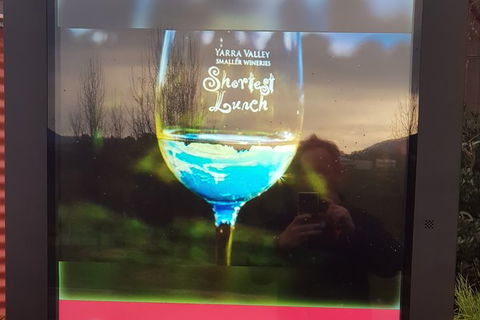 Yarra Valley Wine Tasting Day Tour From Melbourne - Maitland Accommodation 4