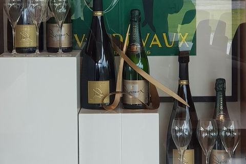 Yarra Valley Wine Tasting Day Tour From Melbourne - Maitland Accommodation 2