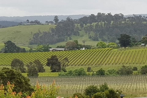 Yarra Valley Wine Tasting Day Tour From Melbourne - Maitland Accommodation 0