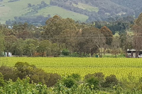 Day Tour Of Yarra Valley Puffing Billy And Rayners Orchard - Maitland Accommodation 44
