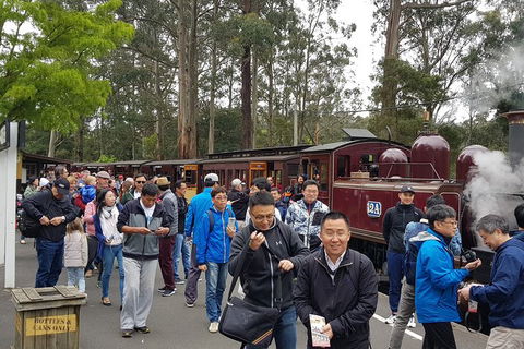 Day Tour Of Yarra Valley Puffing Billy And Rayners Orchard - Maitland Accommodation 3