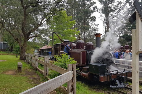 Day Tour Of Yarra Valley Puffing Billy And Rayners Orchard - Maitland Accommodation 14