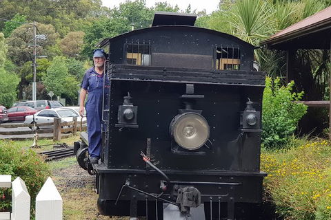 Day Tour Of Yarra Valley Puffing Billy And Rayners Orchard - Maitland Accommodation 11