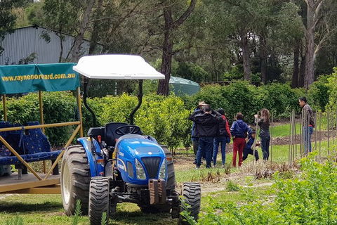 Day Tour Of Yarra Valley Puffing Billy And Rayners Orchard - Maitland Accommodation 10