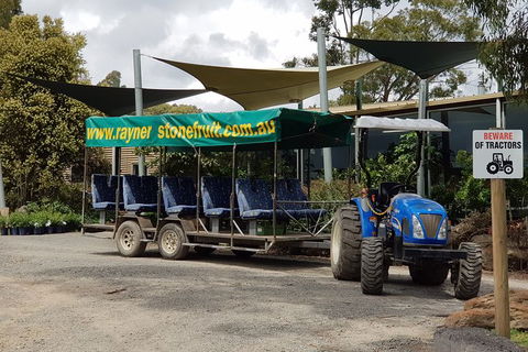 Day Tour Of Yarra Valley Puffing Billy And Rayners Orchard - Maitland Accommodation 17