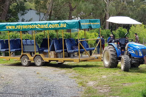 Day Tour Of Yarra Valley Puffing Billy And Rayners Orchard - Maitland Accommodation 48