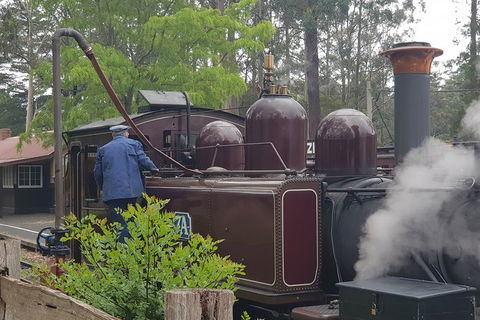 Day Tour Of Yarra Valley Puffing Billy And Rayners Orchard - Maitland Accommodation 5