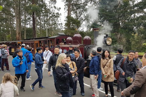 Day Tour Of Yarra Valley Puffing Billy And Rayners Orchard - Maitland Accommodation 18