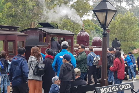 Day Tour Of Yarra Valley Puffing Billy And Rayners Orchard - Maitland Accommodation 40