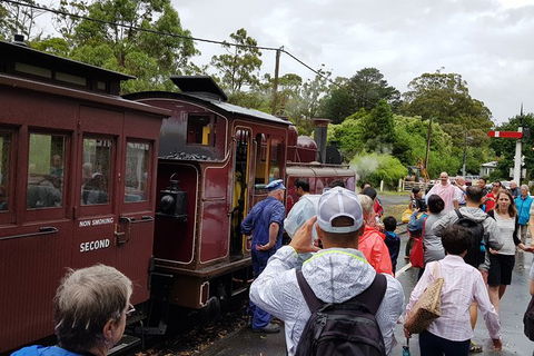 Day Tour Of Yarra Valley Puffing Billy And Rayners Orchard - Maitland Accommodation 23