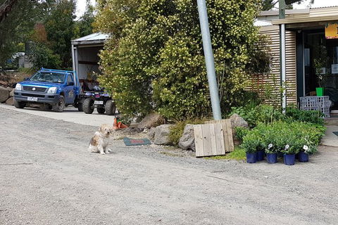 Day Tour Of Yarra Valley Puffing Billy And Rayners Orchard - Maitland Accommodation 6