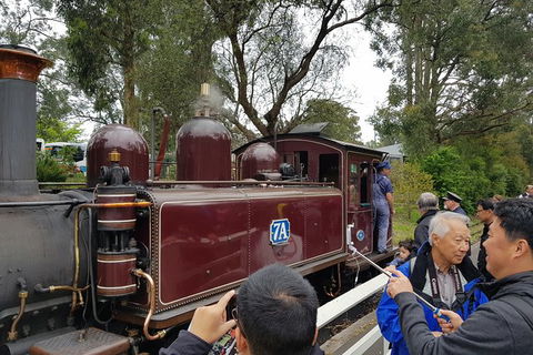 Day Tour Of Yarra Valley Puffing Billy And Rayners Orchard - Maitland Accommodation 28