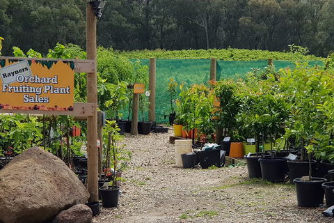 Day Tour Of Yarra Valley Puffing Billy And Rayners Orchard - Maitland Accommodation 22